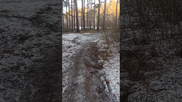 VID_20260331~1