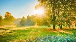 Я сегодня приседала.