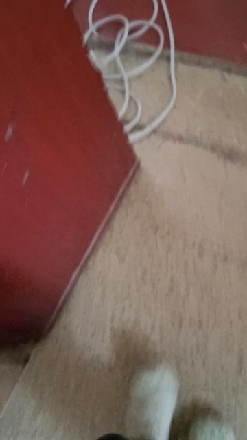 как я живу в новом усаде