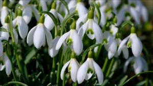 Врата четвёрки открываются. Привлекаем богатство.