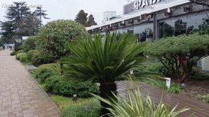 Прогулки по ФТ Сириус. Дорога к морю по улице Воскресенская.