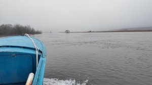 Рязанское половодье: вода продолжает прибывать на территории региона