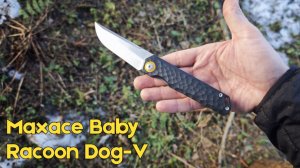 Обзор на новый складной нож Maxace Baby Racoon Dog-V