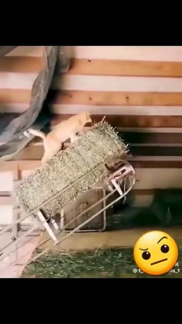 24 августа 2023 г.