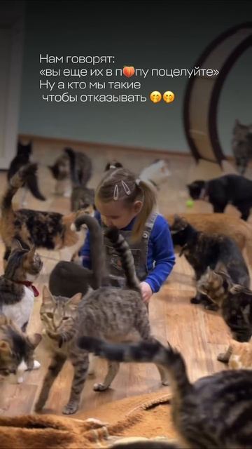 Вы ещё их в... поцелуйте!