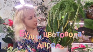 Будни цветовода. Апрель