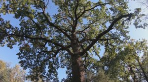 Поход 24 сентября 2025 г.