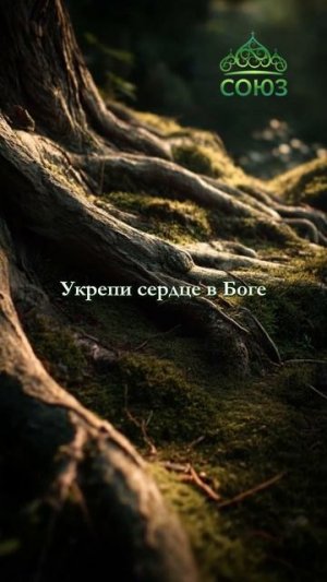 О внутреннем корне - Субботний покой