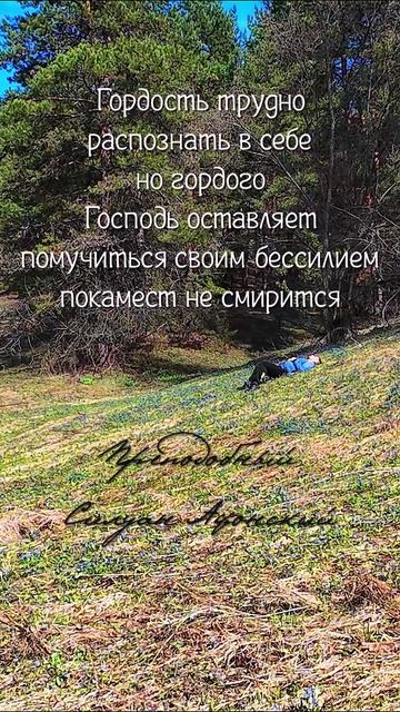 Гордый мучается