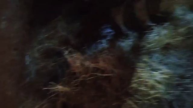 С УТРА УПРАВИЛАСЬа остальное время для себя Сельская жизнь