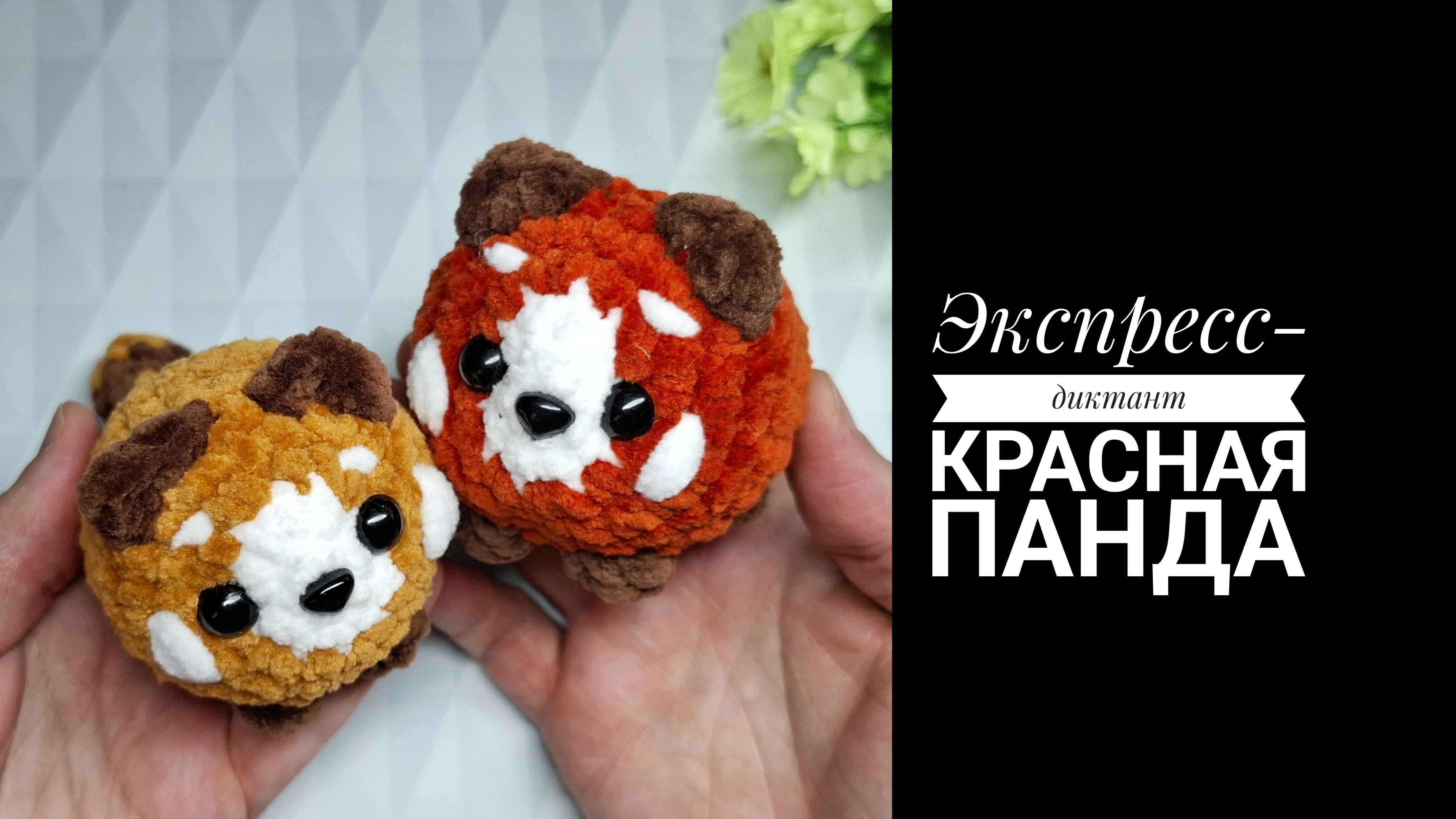 Экспресс-диктант Красная панда крючком