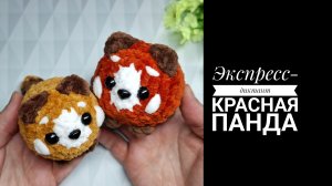 Экспресс-диктант Красная панда крючком