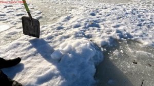 Жерлицы проверка. 43 день.