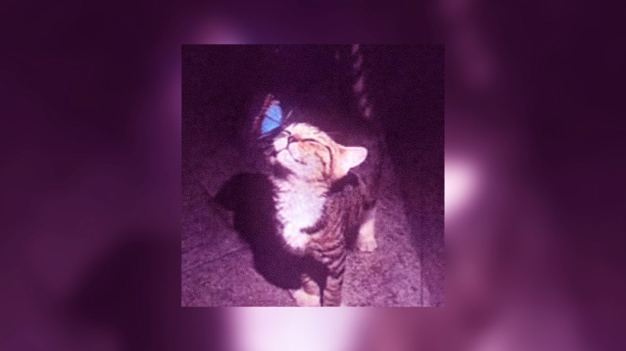 ☆плейлист популярных песен из тик тока 2026 года☆