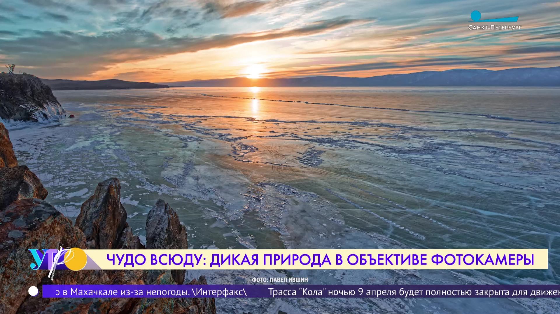 Чудо всюду. Дикая природа в объективе фотокамеры