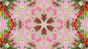 Весна! Очаровательные тюльпаны 7! Киностудия Мудрого Кота Тимофея!