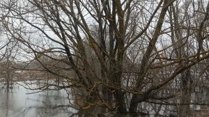 Весна пришла!!!