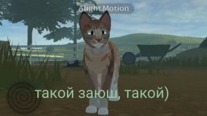 хавайте видос, а я ухожу в рест на недельку. скоро будет много колабов! не скучайте)