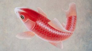 Таймлапс квадриптиха "Карпы Кои"