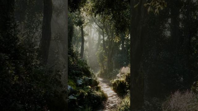 Velvet Encore. Бархатный выход на бис. The Song Is In English.