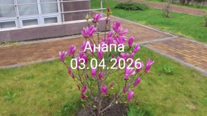 Анапа 03.04.2026