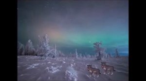 Буква Я