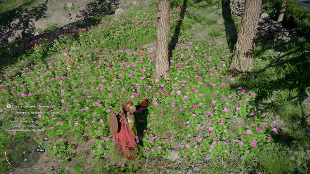 KRIMSON DESERT(кримсон дэзэрт)