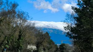 Песенная Медитация 03.04.2026