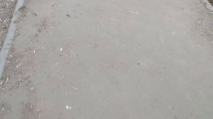 Анекдоты а моём исполнении