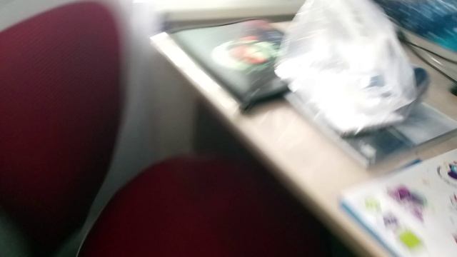 выживание с котом