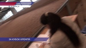 Зимний Кубок Нижегородского кремля по выездке стартовал в конно-спортивном клубе «Пассаж»