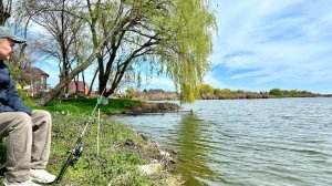 Река Понура со звуками весеннего пробуждения: лягушки, птицы, ветер, волна