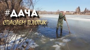 Первая поездка и первые приключения  #дача