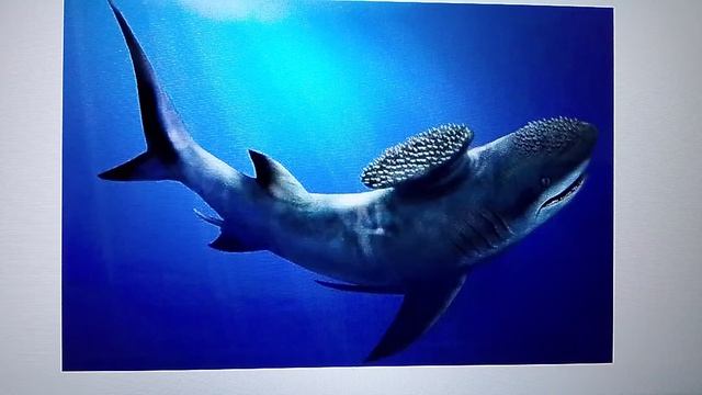 подводные монстры часть 1