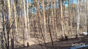 03.04.26.г.Моя городская жизнь 👩🏢🍀🍀🍀