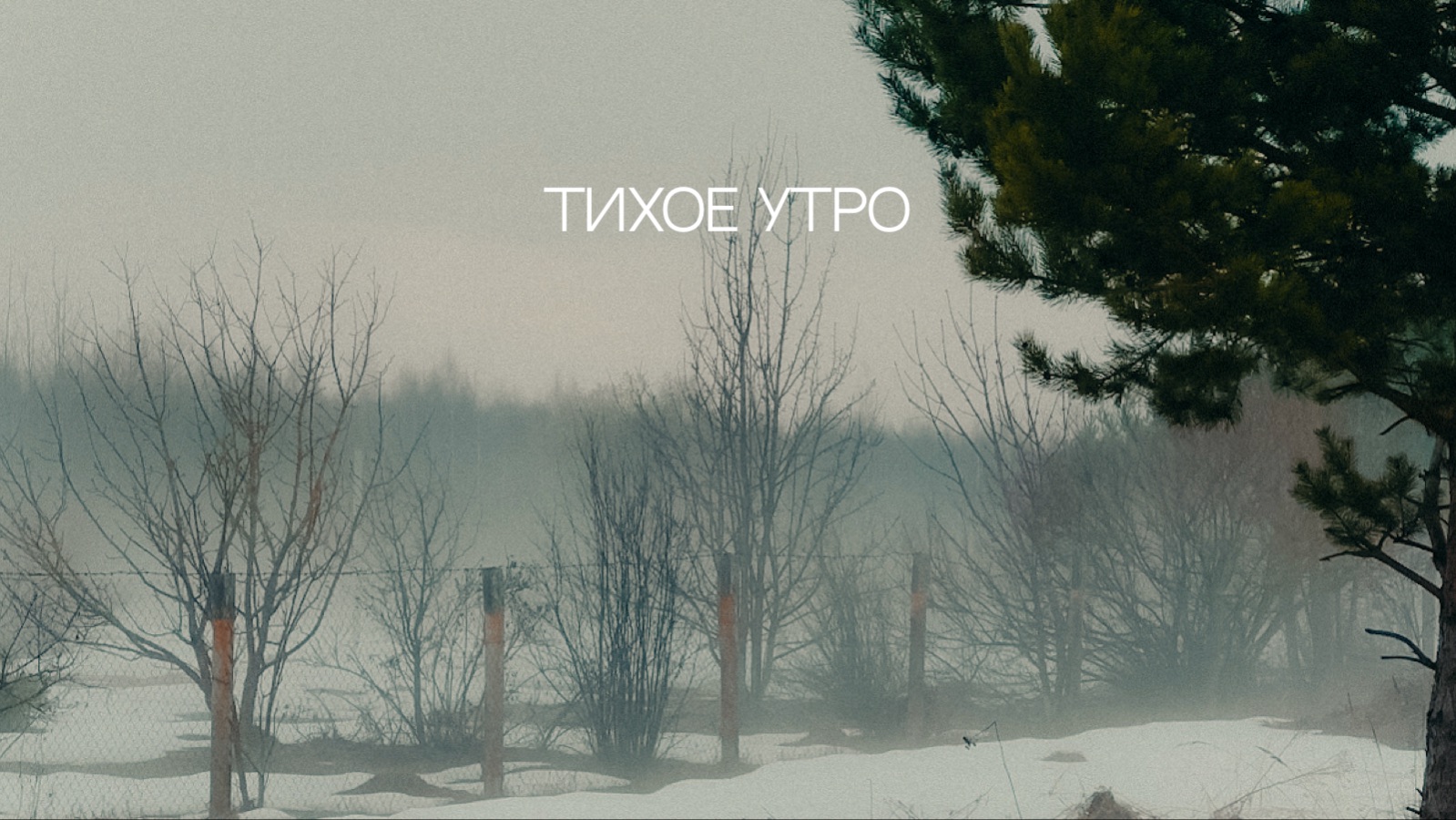 Тихое утро