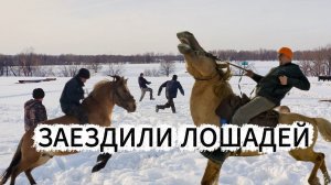 ПЕРЕСЧИТАЛИ ЛОШАДЕЙ | СЪЕЗДИЛИ НА ДАЧУ НА КВАДРИКЕ | ВСТРЕЧАЕМ ВЕСНУ