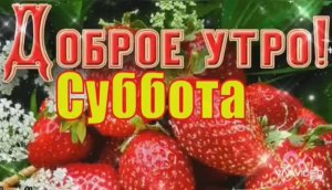 ДОБРОЕ УТРО СУББОТЫ – СЕГОДНЯ ВЫХОДНОЙ! ПЕСНЯ - СУПЕР!