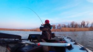 День искал - час ловил: судак на старом месте после толпы лодок!