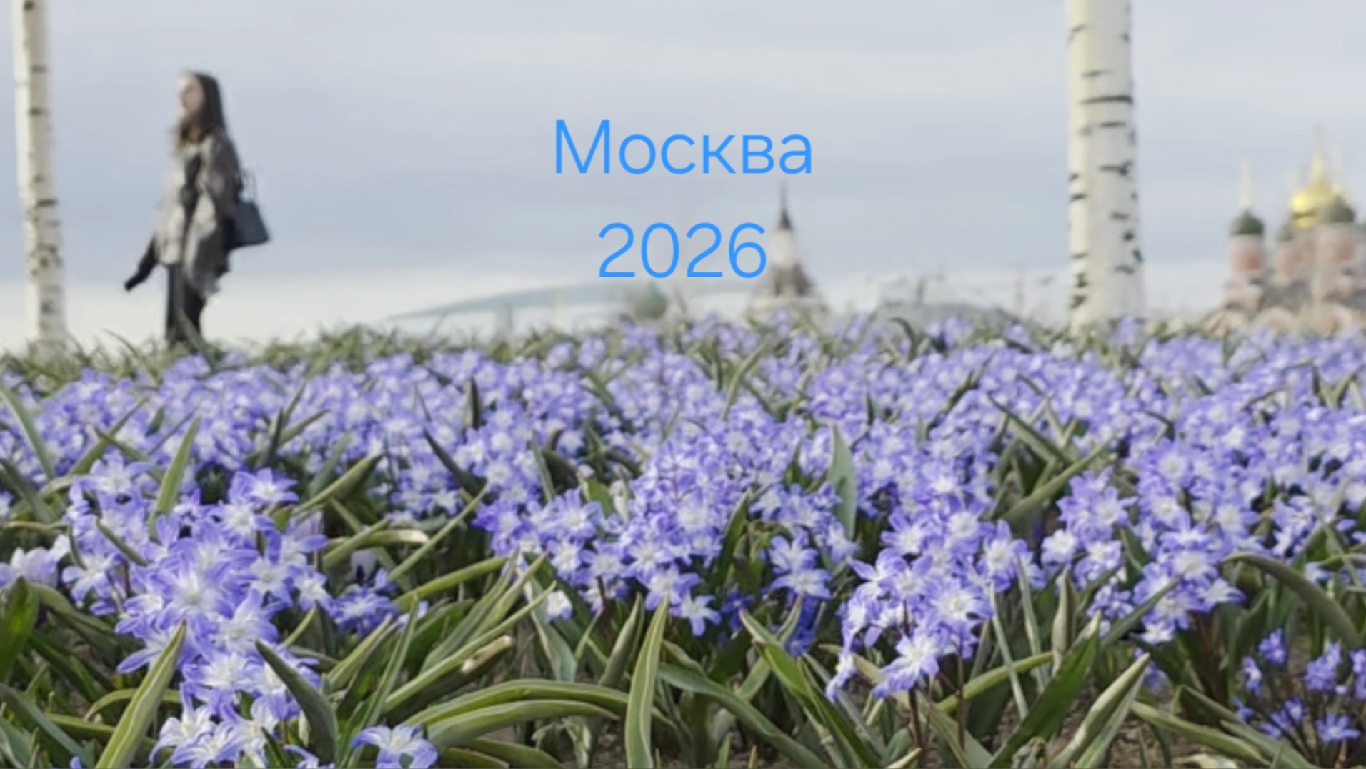 Москва 2026