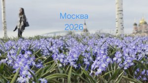 Москва 2026