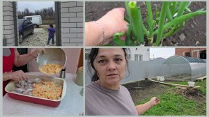 332 РАДИ НЕГО ПРИШЛОСЬ ЕХАТЬ. СОБИРАЕМ ДОКУМЕНТЫ В ШКОЛУ. МИНТАЙ В ДУХОВКЕ.