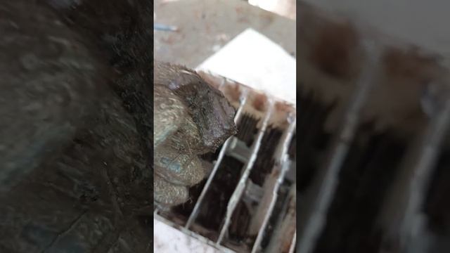 Аккумулятор Delkor  в РАЗБОР