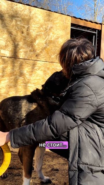 Неразделённая любовь