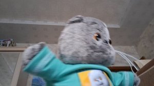 Басик будет играть в Чикен ган