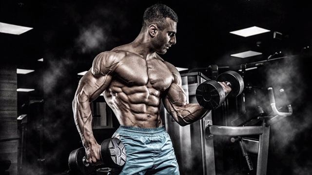 МУЗЫКА ДЛЯ ТРЕНИРОВОК В СПОРТЗАЛЕ — Tiesto & Showtek - Hell Yeah!