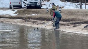 Поимки форели !!!