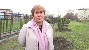 «Сад памяти» высадили ученики гимназии №17 г. Черкесска