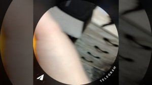 2_5204340403754539672.mp4