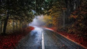 🌧️ Шум дождя 3 часа | Идеальный фон для отдыха, работы и глубокого сна 💤